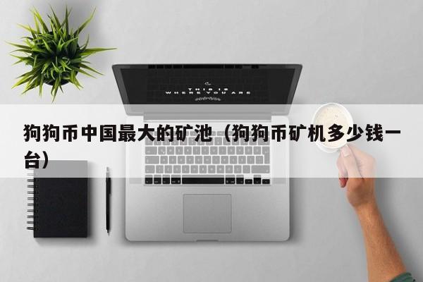 狗狗币中国最大的矿池(狗狗币矿机多少钱一台)