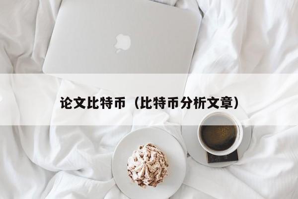 论文比特币(比特币分析文章)